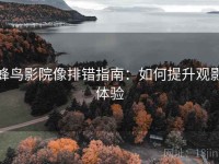 蜂鸟影院像排错指南：如何提升观影体验