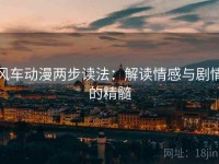 风车动漫两步读法：解读情感与剧情的精髓