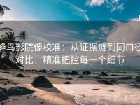 蜂鸟影院像校准：从证据链到同口径对比，精准把控每一个细节