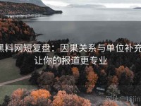 黑料网短复盘：因果关系与单位补充，让你的报道更专业