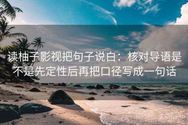 读柚子影视把句子说白：核对导语是不是先定性后再把口径写成一句话