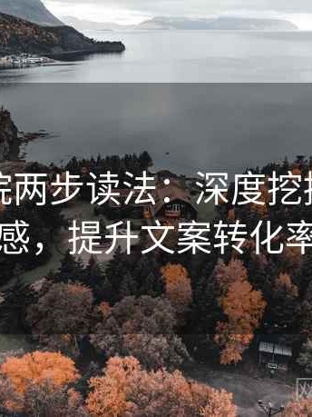 星辰影院两步读法：深度挖掘文案情感，提升文案转化率