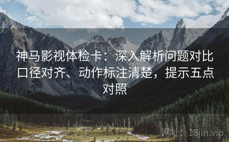 神马影视体检卡:深入解析问题对比口径对齐、动作标注清楚,提示五点对照 神马影视体检卡:深入解析问题对比口径对齐、动作标注清楚,提示五点对照