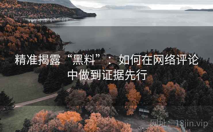 精准揭露“黑料”：如何在网络评论中做到证据先行