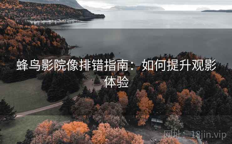 蜂鸟影院像排错指南：如何提升观影体验