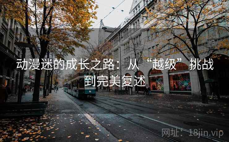 动漫迷的成长之路:从“越级”挑战到完美复述 动漫迷的成长之路:从“越级”挑战到完美复述